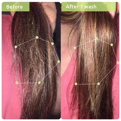 WishCare Anti-Frizz Triple Bond Repair Hair Duo